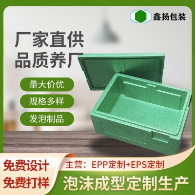 深圳硬质颜色大型EPP冷藏保温箱耐用时尚家庭商用epp泡沫成型制品