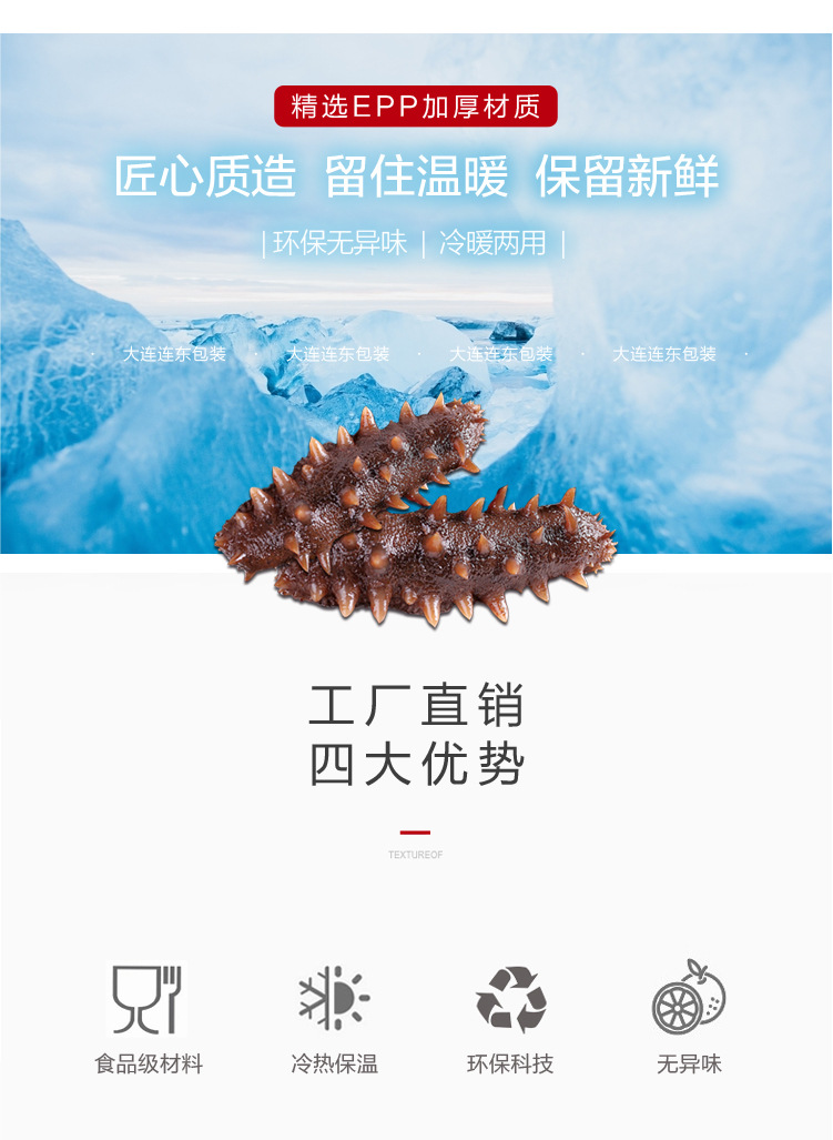 海参保温箱-02.jpg