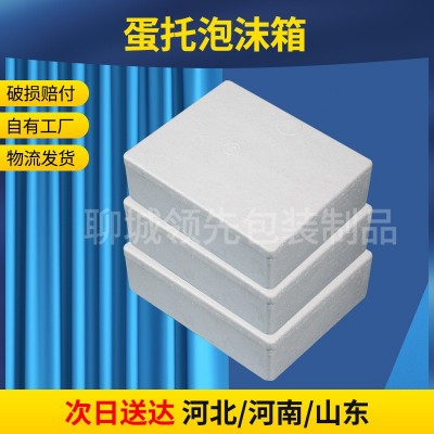 现货批发20枚泡沫箱蛋托物流快递防震防摔鸡蛋包装箱礼盒内衬蛋托图4