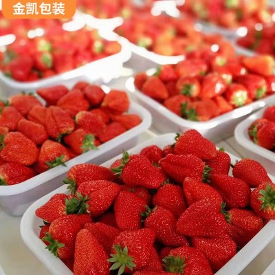 厂家供应草莓泡沫包装箱多规格 草莓泡沫快递运输包装箱可批发图5