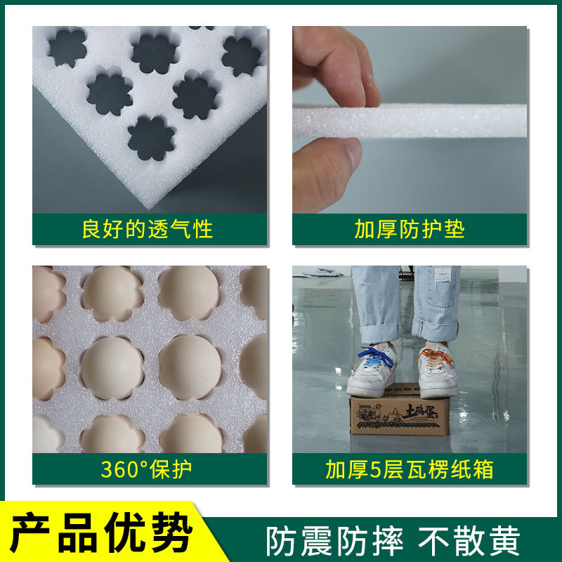 鸡蛋托1.jpg