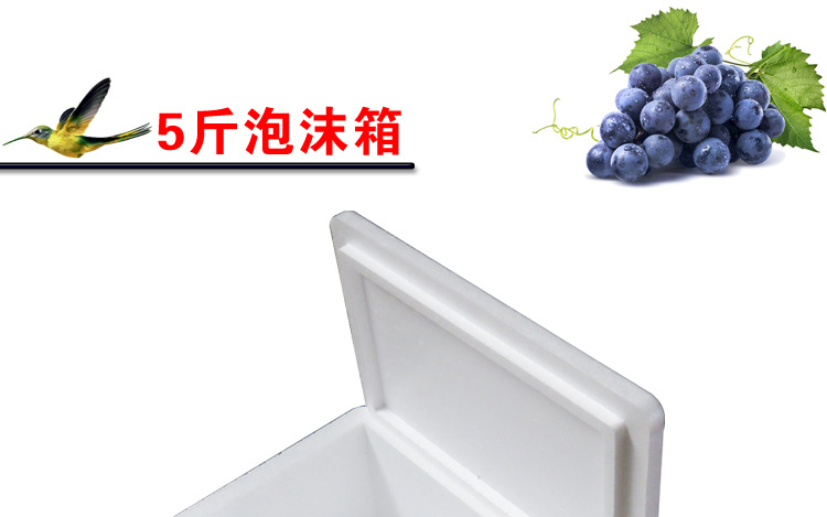 综合描述_05.jpg