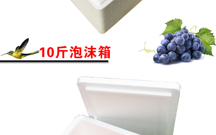综合描述_08.jpg