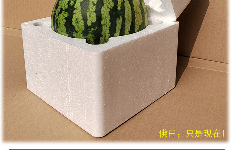 西瓜泡沫箱-描述_09.jpg