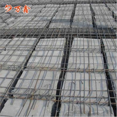 泡沫空心楼建筑轻质隔热保温泡沫砖芯模厂家批发清远周边芯模图4