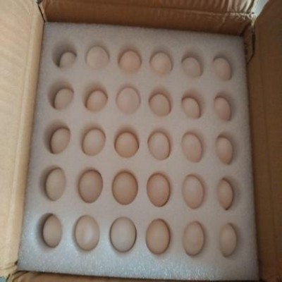 量大批发 epe珍珠棉内衬 包装内衬深EPE泡棉珍珠棉制定珍珠棉图2