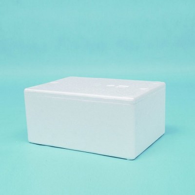 EPS泡沫箱 水果蔬菜海鲜保温箱 冷藏保鲜泡沫盒 加厚食品包装箱图5