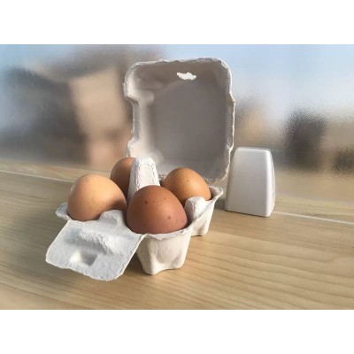 20枚本色纸浆蛋盒蛋托纸浆模塑环保讲解洋鸡蛋柴鸡蛋笨鸡蛋鸡蛋礼图5