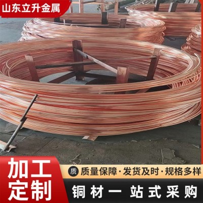 厂家直供紫铜镀锡铜绞线 tjr多股软铜绞线 接地架空裸铜线 铜绞线图4