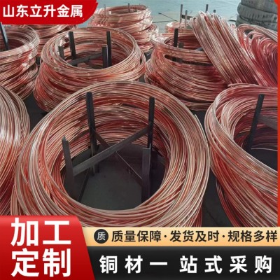 厂家直供紫铜镀锡铜绞线 tjr多股软铜绞线 接地架空裸铜线 铜绞线图2