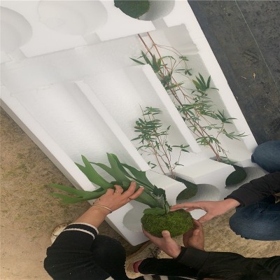 批发白色泡沫盒 高密度防震EPS泡沫板材 免模保利龙泡沫包装片材图3