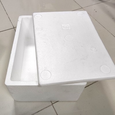 加工定制EPS泡沫箱 蔬菜水果泡沫防震保鲜包装盒 海鲜红酒保鲜箱图5
