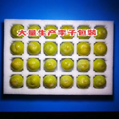 珍珠棉EPE奈李包装 李子水果包装内托
