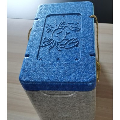 厂家供应各种EPP保温冷链箱 EPP26L-108保温箱 EPP周转箱图4
