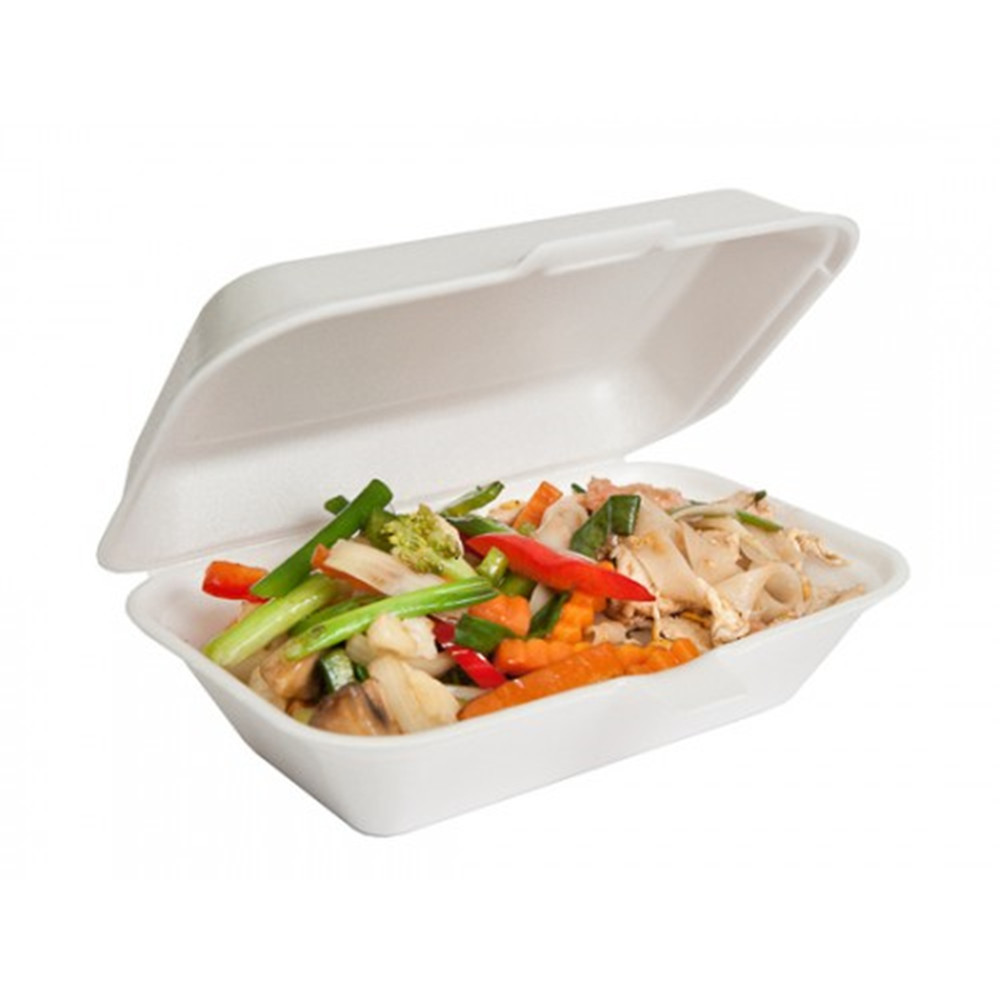 1foam lunch box