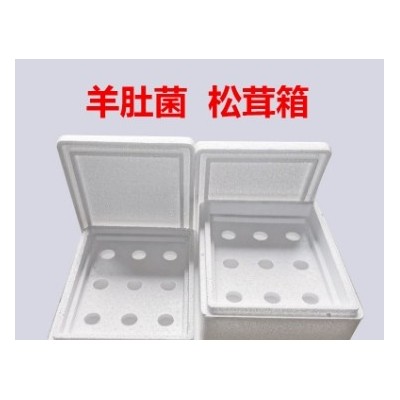 松茸羊肚菌草莓2斤4斤装泡沫箱快递运输专用源头厂家批发图2