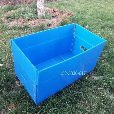 批发长方形带盖物流箱加厚蔬菜育苗穴盘运输箱大号收纳塑料周转箱图5