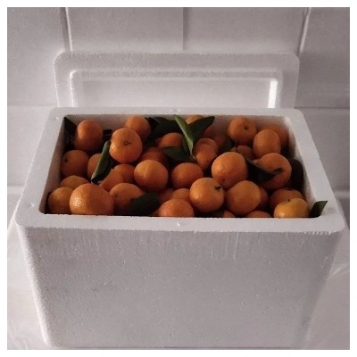 可多选规格食品泡沫箱 兴世隆 加厚高密度保温冷藏箱 按需定制图5
