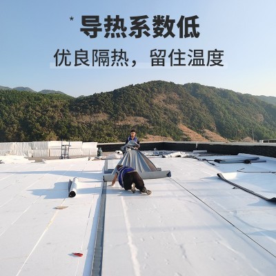 EPS泡沫板保丽龙保温隔热防震填充地暖防潮环创雕刻模工地回填图4