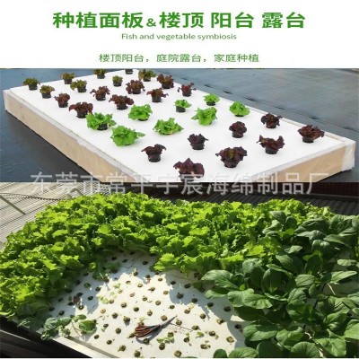 厂家EVA种植板批发EVA水稻种植浮板水上培植漂浮泡沫多孔EVA漂浮图2