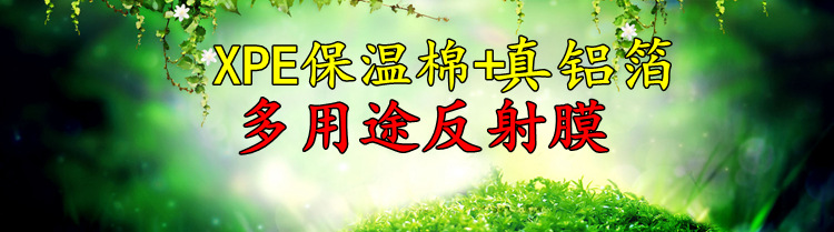 详情1.jpg