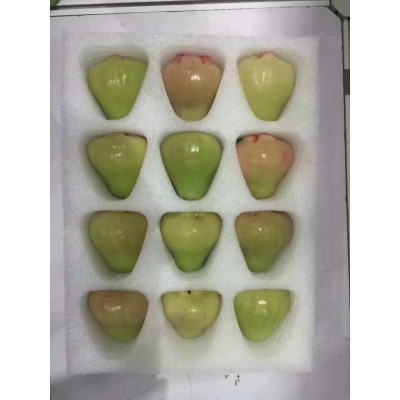 珍珠棉内托EPE快递包装水果托盘填充物 电子产品图2