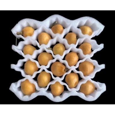 珍珠棉内托EPE快递包装水果托盘填充物 电子产品图3
