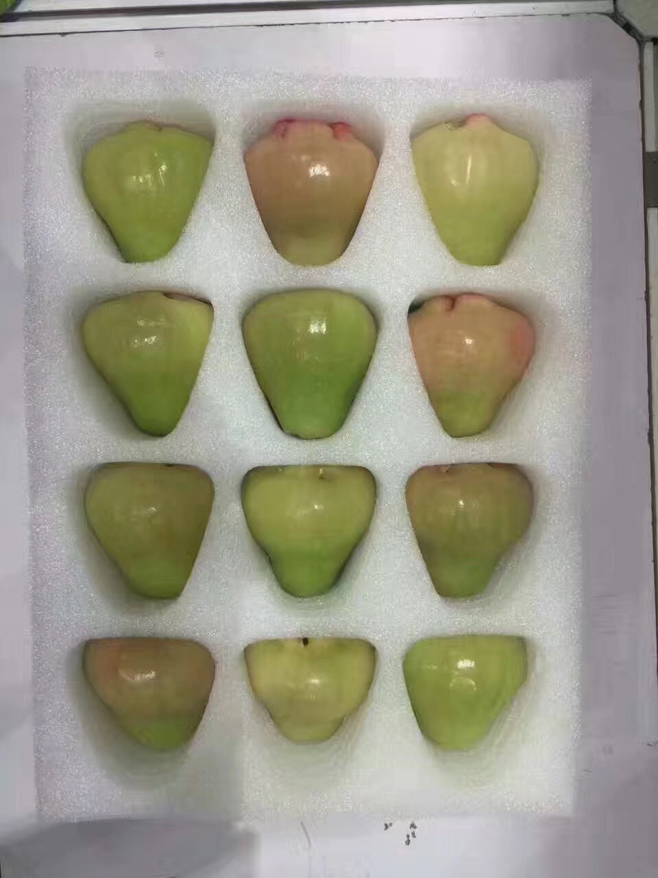 微信图片_20220217101158