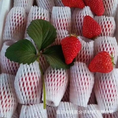 厂家批发水果网套彩色防震网保护套苹果橙子草莓防碰泡沫网现货图2