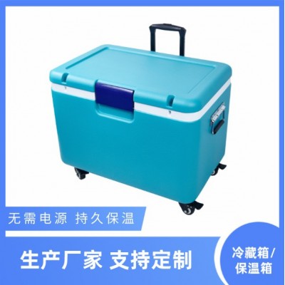 定制拉杆保温箱冷藏保鲜箱商用户外干冰蛋糕冰包保温袋冷藏箱批发