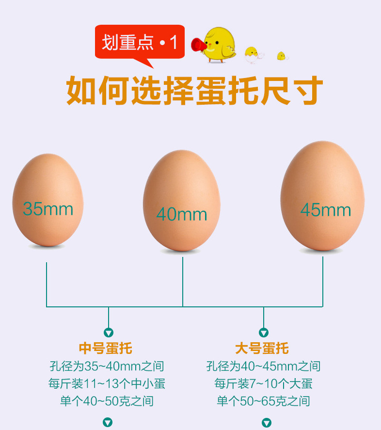 鸡蛋托详情