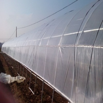整卷塑料薄膜大棚膜透明加厚农用防水防尘PE塑料布养殖户外防雨布图2
