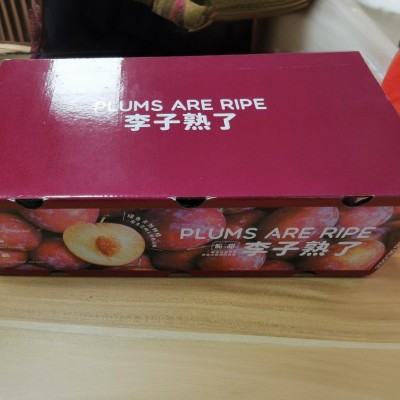 珍珠棉EPE物流包装水果保护图2