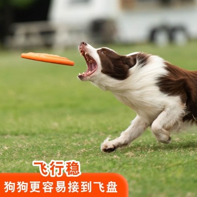 狗专用飞盘柔软耐咬不伤牙训练拔河狗玩具小型犬中型犬大型犬图3