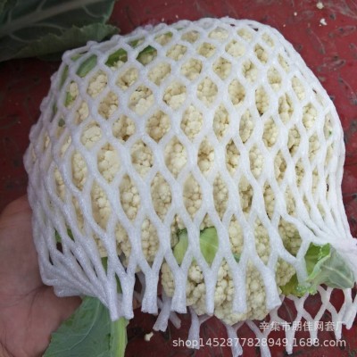 猕猴桃泡沫菜花包装网兜包菜花菜网袋蔬菜水果网套防震批发厂家图3