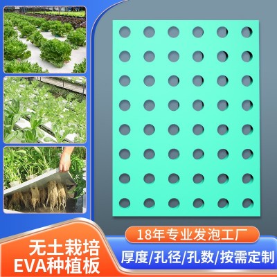 生产eva片材泡棉板无土种植栽培定植板水稻蔬菜水培定植发泡浮板