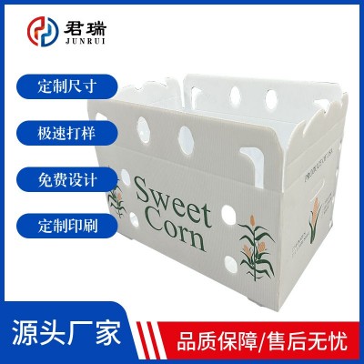 果蔬包装箱物流周转可折叠易收纳水果蔬菜周转箱塑料中空板钙塑箱图3
