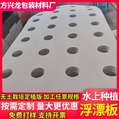 eva水培蔬菜种植板 水面种植板 水上稻浮床 带孔种菜水 培定植板图2