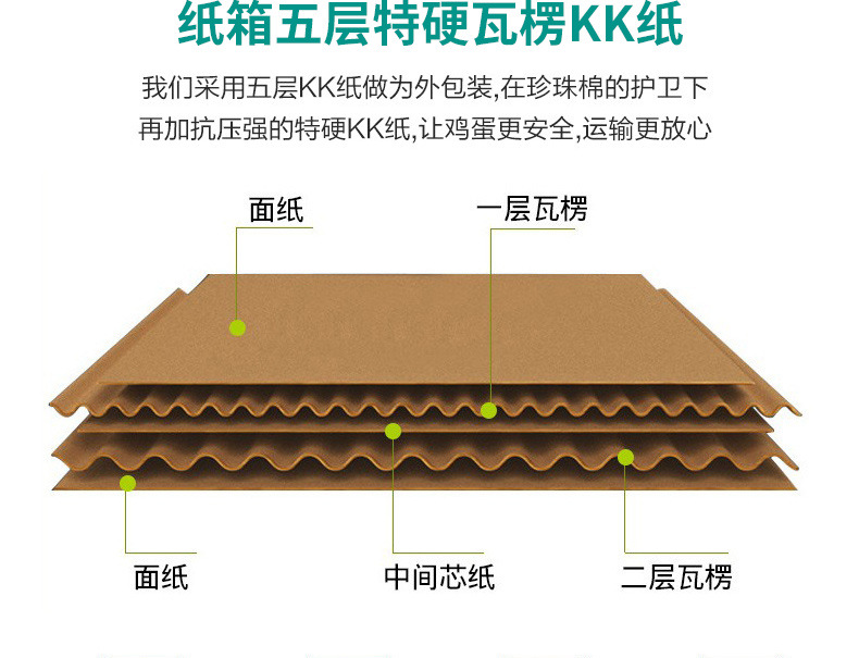 鸡蛋托_13.jpg